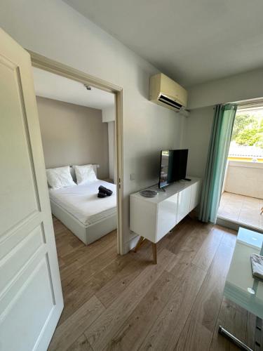 une chambre avec un lit, une télévision et un miroir dans l'établissement Logement paisible avec piscine, à Cannes