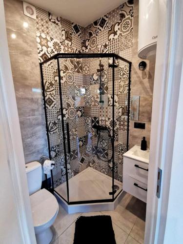 a bathroom with a shower and a toilet at Domki Bliżej Gwiazd in Krasnobród