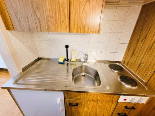 eine Küche mit Spüle und Arbeitsplatte in der Unterkunft City Center Flats with Balcony & Garden View Rigi - Self Checkin in Zürich