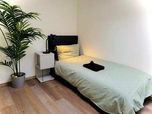 a bedroom with a bed and a potted plant at RV Apartment DG, Zentrum in Ravensburg