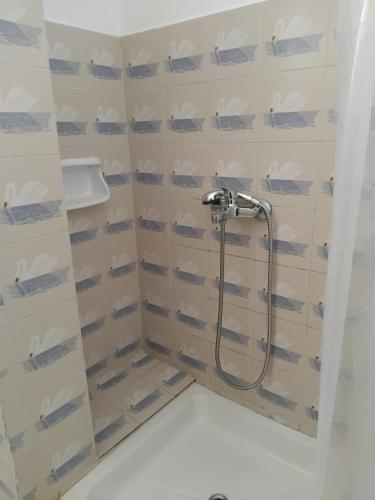 a shower with a shower head in a bathroom at Four season in Ios Chora