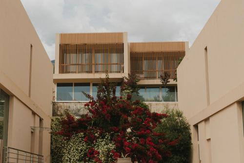 a building with a flowering plant in front of it at MIKU Green Coast in Palasë