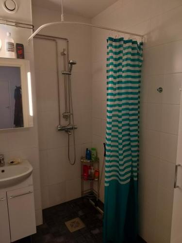 Un baño con cortina de ducha y lavabo. en Ben's cozy home close to the river and city, en Rovaniemi