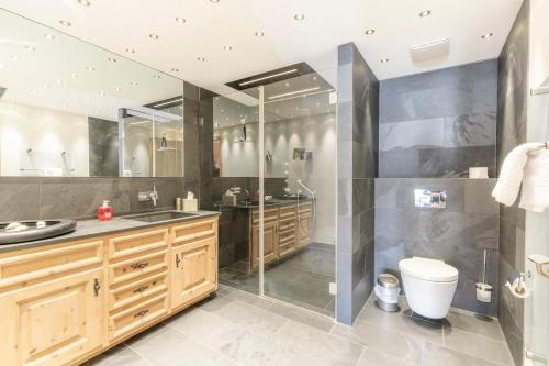 a bathroom with a shower and a sink and a toilet at St Moritz 3 Suite vista lago in St. Moritz
