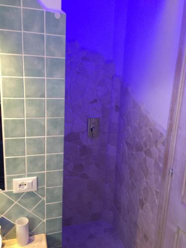 a bathroom with a shower with blue tiles at Monti di Jogliu in Arzachena