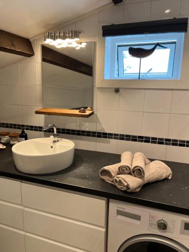 a bathroom with a sink and a washing machine at La Mare Resort in Gothenburg