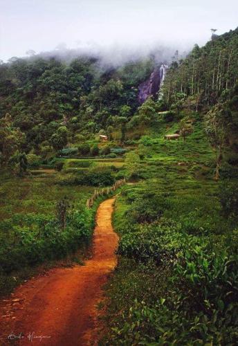 a dirt road in the middle of a mountain at The Paulwood cabana home stay in Nuwara Eliya