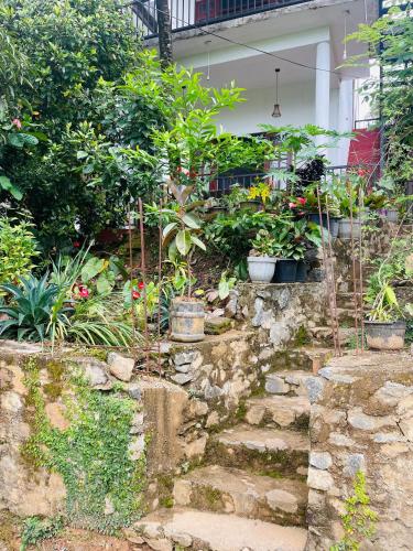 Zahrada ubytování Ella Cloud Castle Homestay