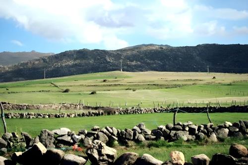 a group of rocks in a field with mountains in the background at Casa Raspa in Baterna
