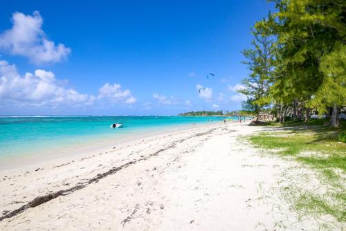 a beach with people in the water and trees at SG17 Villa Sable Front de Mer in Palmar