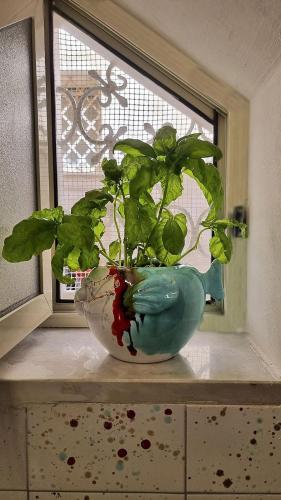a plant in a vase sitting on a window sill at O' Vicariell Amalfi Coast in Vietri sul Mare