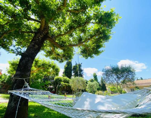 a hammock hanging from a tree in a park at KIPOS-SS residences in Dassia
