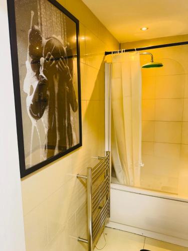 a picture of a person taking a picture in a bathroom at Smart Artistic studio in shoreditch in Moffat