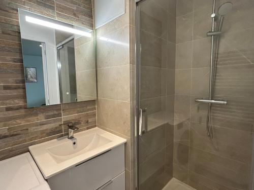 Un baño con ducha, lavabo y espejo. en L'Échappée Verte - appartement 1 chambre, en Saint-Méloir-des-Ondes
