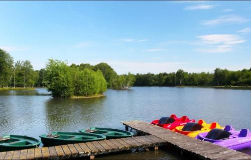 Gallery image of Camping maeva Respire Domaine de Sainte Montaine in Sainte-Montaine