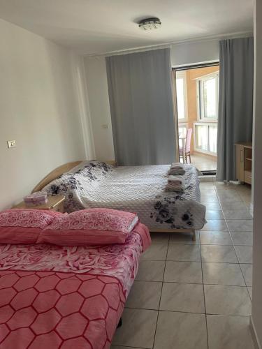 Sofia studio