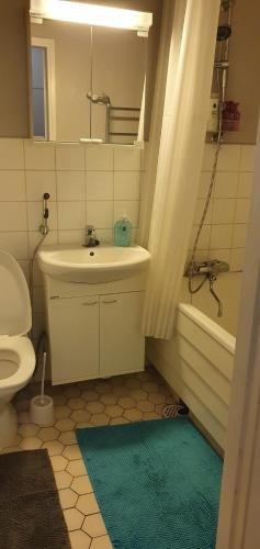 a bathroom with a sink and a toilet and a shower at Arctic way in Sodankylä