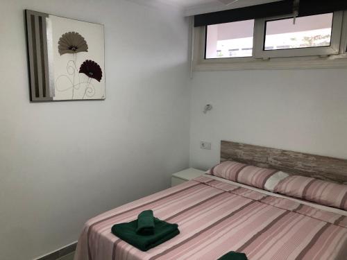 Apartamentos Aloe