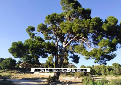 Φυσικό τοπίο κοντά σε αυτό το διαμέρισμα