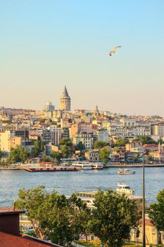 a view of a city with a river and buildings at Golden Horn Park Hotel in Istanbul