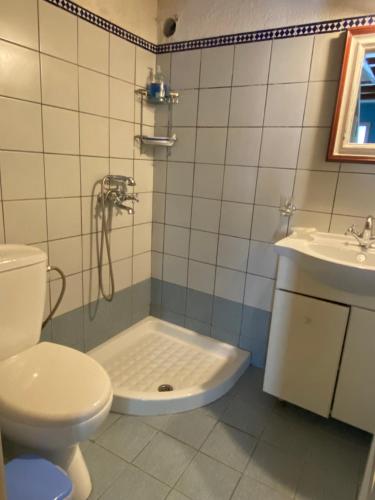 a bathroom with a shower and a toilet and a sink at Two sisters in Alonnisos Old Town