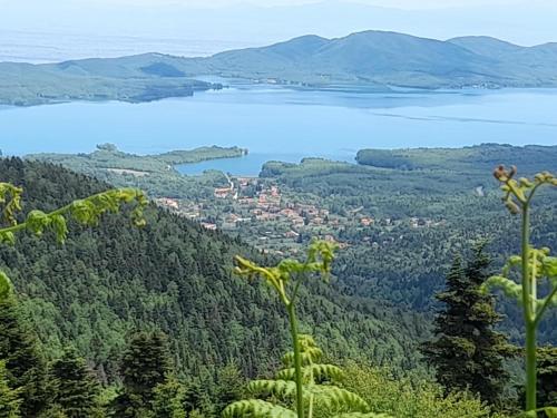 Φυσικό τοπίο κοντά σε αυτός ο ξενώνας