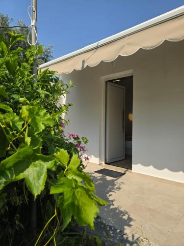 a door to a house with a plant at Pension Zoi in Kolimbia