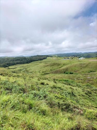 a field of grass with trees in the distance at John Myrthong Homestay 
