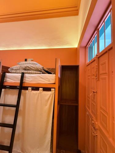 瓦哈卡市Ginger Banana Hostel的相册照片