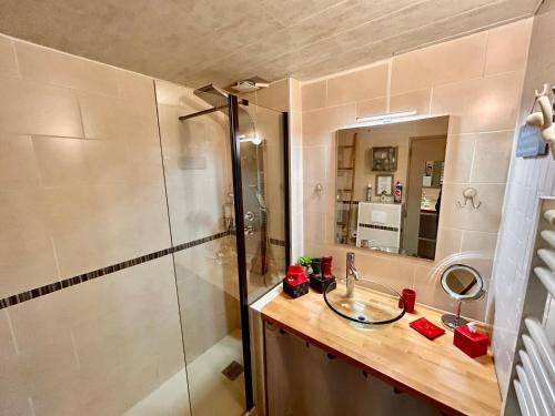 un bagno con lavandino e doccia di Ain porte bonheur cocon dans le Bugey a Ambérieu-en-Bugey
