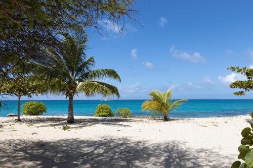 a beach with two palm trees and the ocean at Blue Horizon Beach Bungalow in Baie Longue