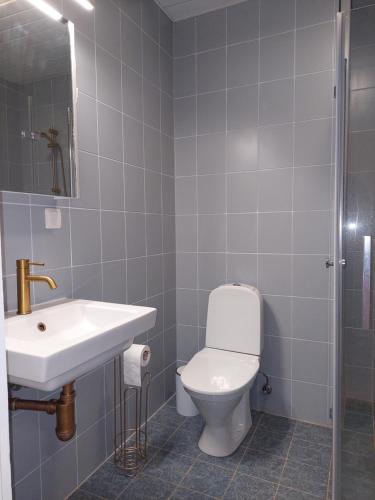 a bathroom with a toilet and a sink at Kodurahu apartement in Haapsalu