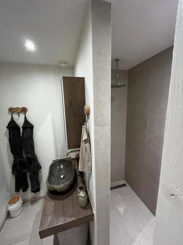 a bathroom with a sink and a mirror at B&B appartement Rebel and Moon in het centrum van Alblasserdam in Alblasserdam