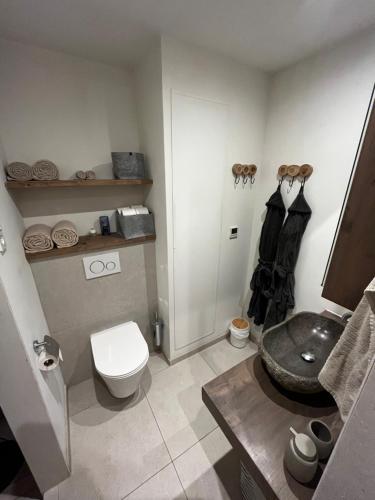 a bathroom with a toilet and a sink at B&B appartement Rebel and Moon in het centrum van Alblasserdam in Alblasserdam