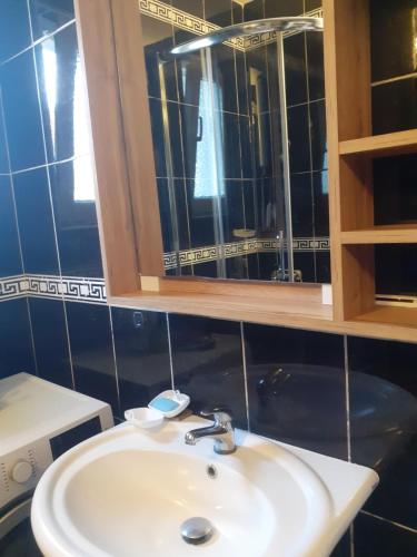 a bathroom with a sink and a mirror at Batajnica centar in Belgrade