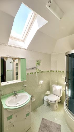 ein Badezimmer mit einem Waschbecken, einem WC und einem Dachfenster in der Unterkunft ARIA HOUSE Sinaia in Sinaia