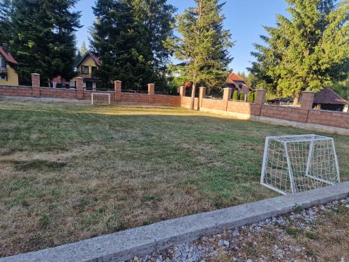 un cortile con un goal di calcio nell'erba di Vila Tri Srca a Beserovina
