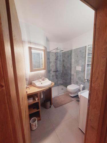 a bathroom with a sink and a toilet at Casina dello Spinale in Madonna di Campiglio