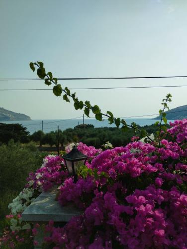 Paisaje cerca de esta villa
