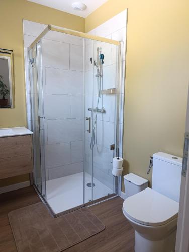 a bathroom with a shower and a toilet at Lisière Hébergements - Casa Mouette Mouette in La Tremblade