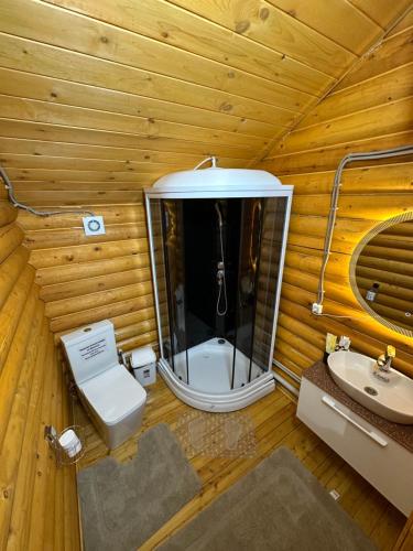 an overhead view of a bathroom with a toilet and sink at Лесник in Cholpon-Ata