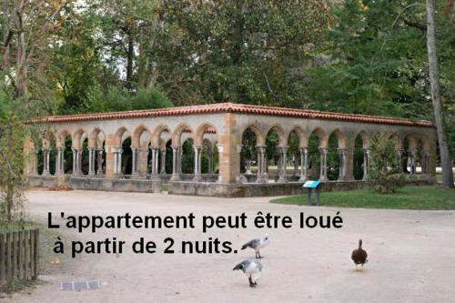 a group of birds standing in front of a building at Appartement 30 m2 - 2 pers - Plein sud - 1er étage droite - Wifi Fibre gratuite - Sans ascenseur - Non fumeur - Pas d'accueil d'animaux - in Tarbes