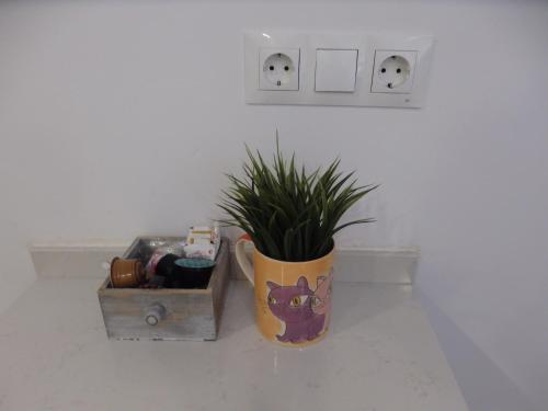Gambar di galeri bagi LOFT LA CASITA di Almería