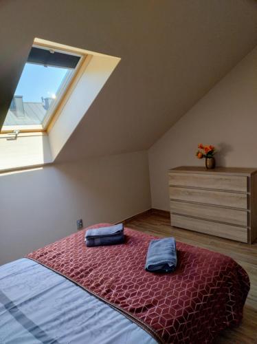 a bedroom with a bed and a window at Villa Anna in Międzywodzie