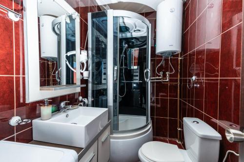 une salle de bain avec un lavabo et une douche dans l'établissement Apartments Durmitorska Vila, à Žabljak