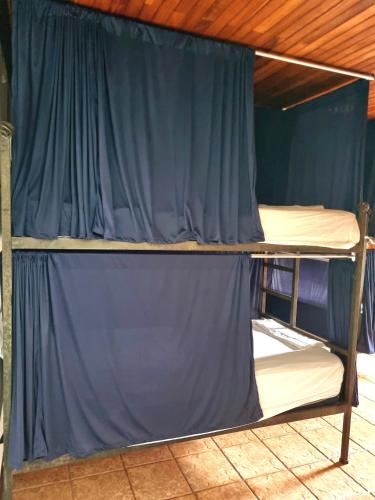 two bunk beds in a room with a blue curtain at Poshtel Arenal in Fortuna