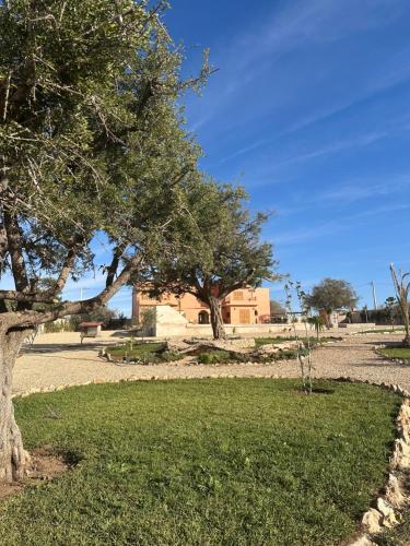 a tree in the middle of a field with grass at Villa Sakina Essaouira in Ounagha