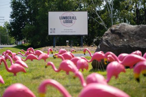 a group of pink flamingos in the grass near a sign at Lumber Jill Lodge 17 King Bed Retreat in Balsam Lake