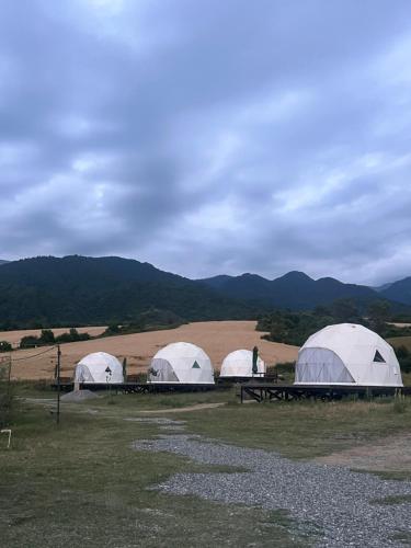 three white tents in a field with mountains in the background at Chadir yurd glamp in İsmayıllı