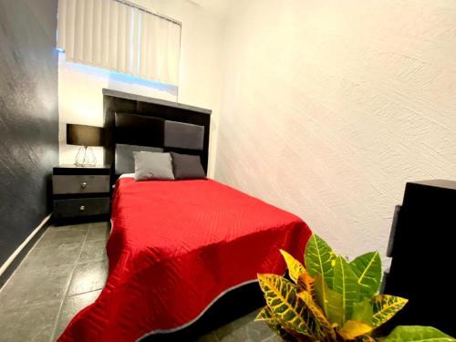 Katil atau katil-katil dalam bilik di RMS Hostal - Reforma